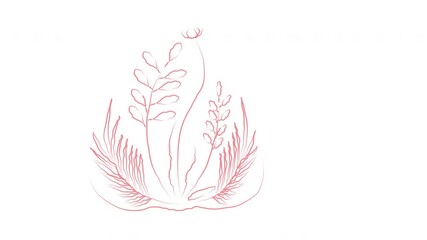 Wall Mural - Seamless loop animation of plants, flower and grass. Pink line drawing.