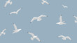 283-gulls-over-the-sea