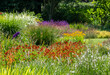 Colourful garden planted in the naturalistic style of the New Perennial movement, with emphasis on layering, structure, form and wide colour palette. 