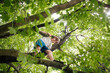 © Image Source RF - Canada, Ontario, Kingston, Boy (14-15) climbing tree