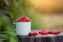 Full Cup Of Fresh Raspberries Ready To Eat On Summer Green Background. Healthy Lifestyle Concept.