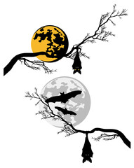 Wall Mural - halloween night vector silhouette decor set with full moon, vampire bats and bare tree branches