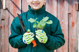 Fototapeta  - Little Girl With Seedling Of Eggplants And Shovel In Spring Garden Close Up.