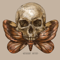 Wall Mural - Mystic skull vintage greeting card, moth death illustration. Witchcraft hand drawn character