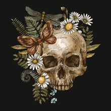 Vintage Floral Skull With Moth, Chamomile  And Fern. Mystery Skull Engraving Hand-drawn Illustration