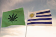 Interesting Flags of URUGUAY and that of the legalization of marijuana waving with the bright sky in the background.