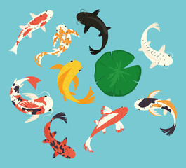 Canvas Print - koi fishes icon collection