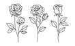 Line rose with leaves. Vector hand drawn set 