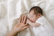 © ADDICTIVE STOCK - Sleeping newborn holding finger of crop parent