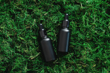 Black Dropper Bottles On Green Moss Background In Forest. Luxury Eco-friendly Cosmetic Products Packaging Design, Branding. Flat Lay, Top View