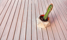 A Small Cactus In A Flower Pot On A White Wooden Table