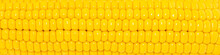 Corn Texture Background. Corn Grains Close Up