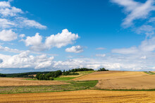 Landscape With Field And Blue Sky