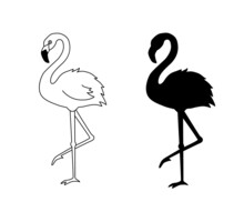 Vector Illustration Of Flamingo In Outline Style Is Isolated On White Background. Black Silhouette Of Tropical Bird Flamingo Standing On One Leg