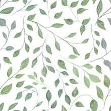 Green Branches Watercolor,beautiful Pattern Of Leaves On A White Background,pattern For The Design Of Paper,fabrics,postcards And Summer Dresses