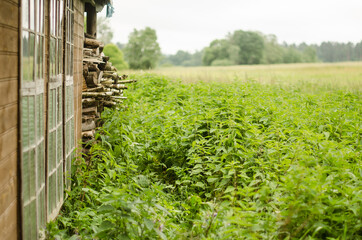 Canvas Print - An old, abandoned building in Lenas, Latvia.