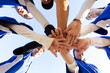 © Wavebreak Media - Diverse group of happy female baseball players stacking hands on sunny baseball field before game