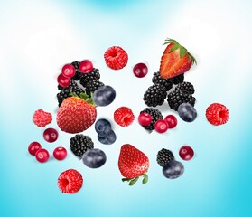 Canvas Print - Berry.