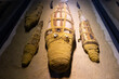 Mummified crocodiles ( Kom Ombo - Egypt )