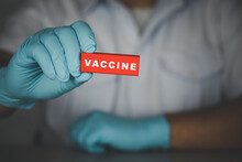 A Doctor Or Scientist Medical Holds A Wooden Red Stick With Text Vaccine