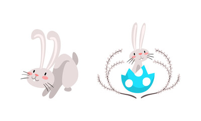 Sticker - Funny Easter Bunny with Long Ears and Grey Coat Sitting in Cracked Egg Shell Vector Set