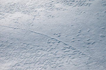 Wall Mural - Patterns and reflections in a snowy field