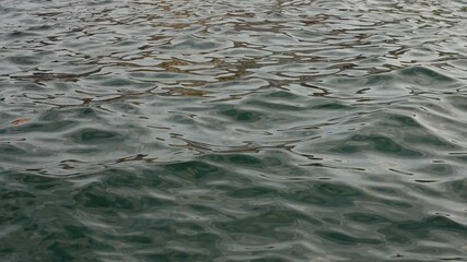 Canvas Print - Water surface of sea with small waves and ripples