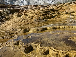 mammoth hot springs