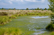 © philipbird123 - View of Fenn's, Whixall and Bettisfield Mosses National Nature Reserve in Shropshire
