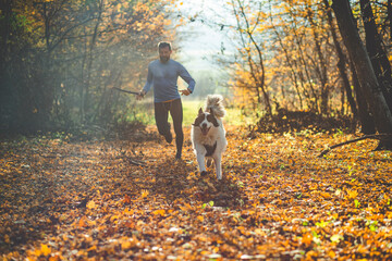 Poster - happy dog and man playing in autumn forest