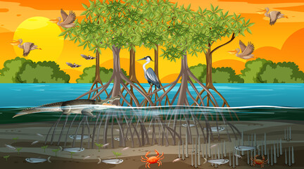 Poster - Mangrove forest landscape scene at sunset time with many different animals