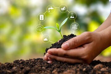 tree growing on soil in human hands and plant growth factor icon plant growth concept and plant essential nutrients