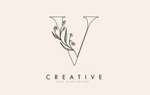 Black Outline V Letter Logo Design With Black Flowers Vector Illustration.