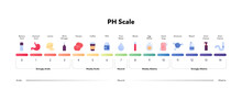 Ph Scale Infographic. Vector Flat Healthcare Illustration. Color Meter With Number, Text And Sample Item Color Icon From Acidic To Alkaline. Design For Pharmacy, Health Care, Cosmetology