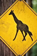 Giraffe Sign