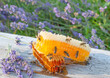 honey in honeycombs and lavender on a wooden table close up
