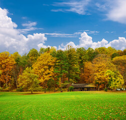 Wall Mural - Autumn scene