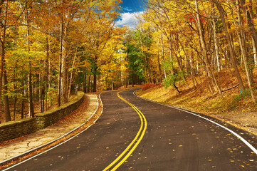 Wall Mural - Autumn scene with road in forest