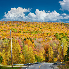 Poster - Highway at autumn day, Maine, USA.