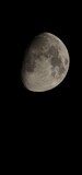 Fototapeta  - full moon over black