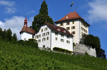 Sticker - château de heidegg