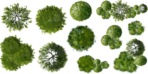 Wall Mural - vector of abstract watercolor tree top view isolated on white background for landscape plan and arch