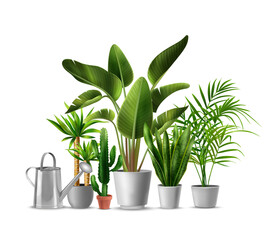 Sticker - House Plants Realistic Illustration