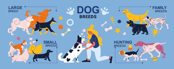 Poster - Dog Breeds Infographics