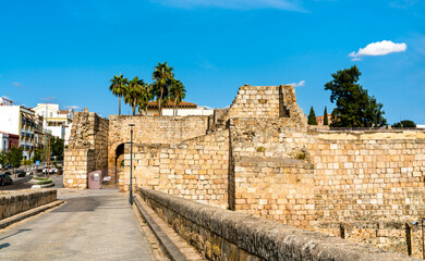 Wall Mural - View of the Alcazaba of Merida in Spain