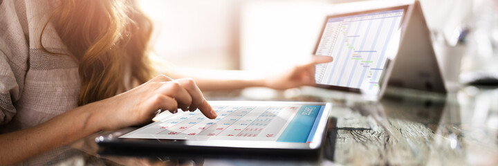 Poster - Project Control Gantt Software And Calendar