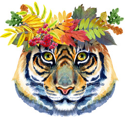 tiger in a wreath of autumn leaves. horoscope character watercolor illustration isolated on white ba