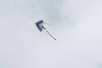 Wall Mural - colorful kites flying over the sky