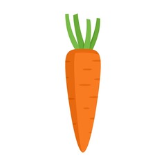 Poster - Vitamin carrot icon flat isolated vector