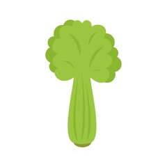 Poster - Celery salad icon flat isolated vector
